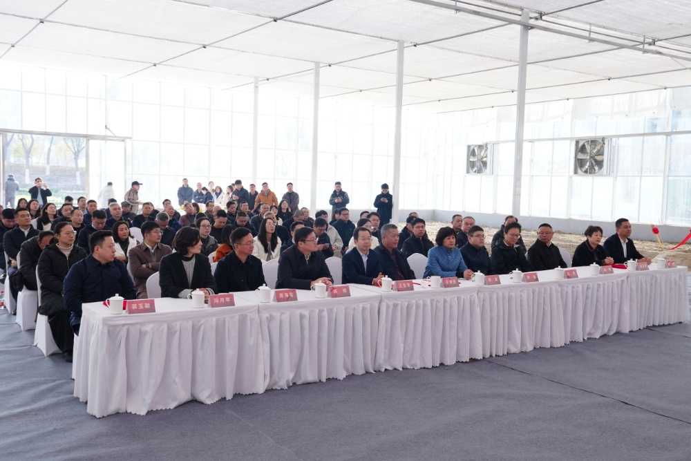 20260114大橋鎮開門紅農業簽約會 (3)